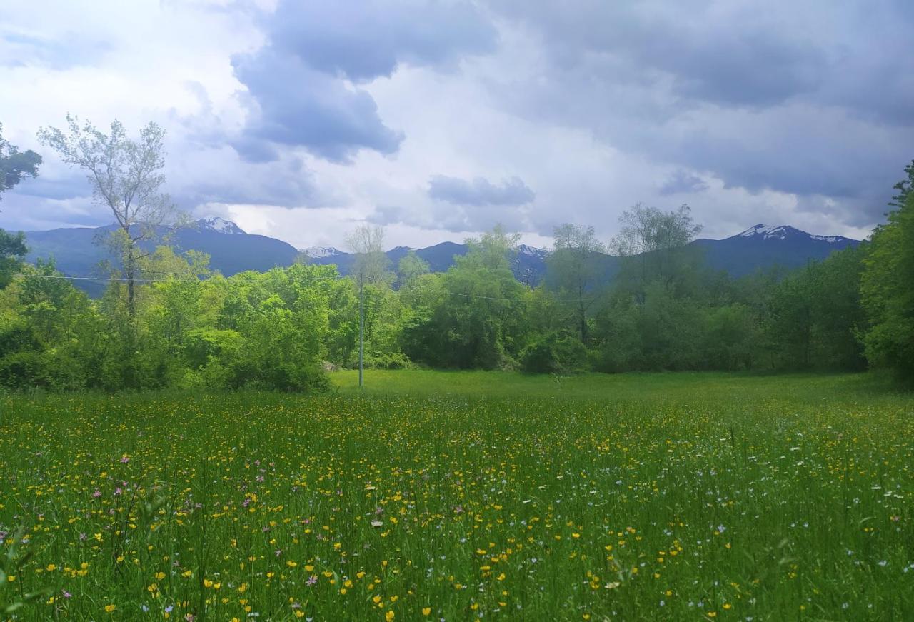 Agriturismo Rio Ricco Busana Dış mekan fotoğraf