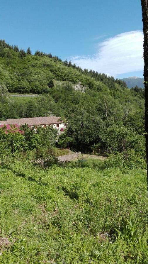 Agriturismo Rio Ricco Busana Dış mekan fotoğraf