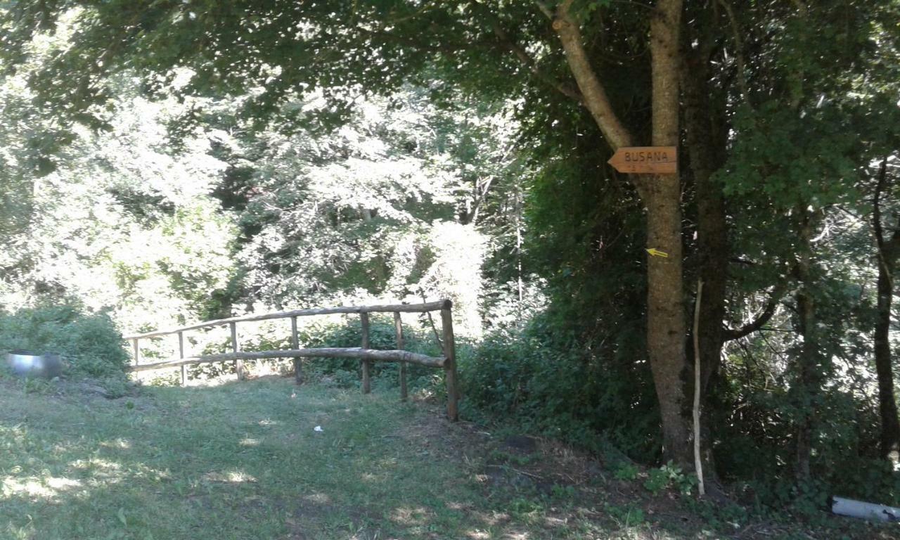 Agriturismo Rio Ricco Busana Dış mekan fotoğraf