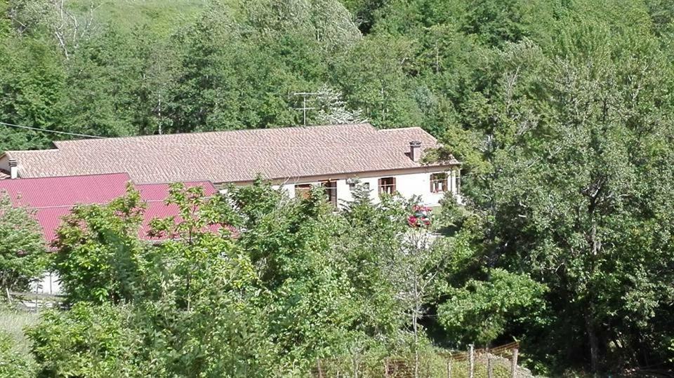 Agriturismo Rio Ricco Busana Dış mekan fotoğraf