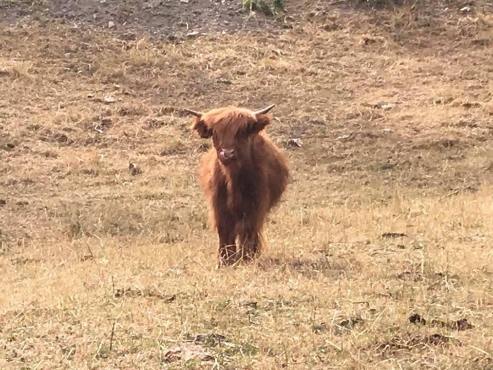 Agriturismo Rio Ricco Busana Dış mekan fotoğraf