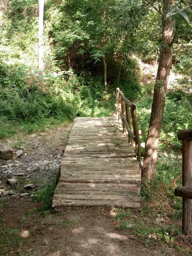 Agriturismo Rio Ricco Busana Dış mekan fotoğraf