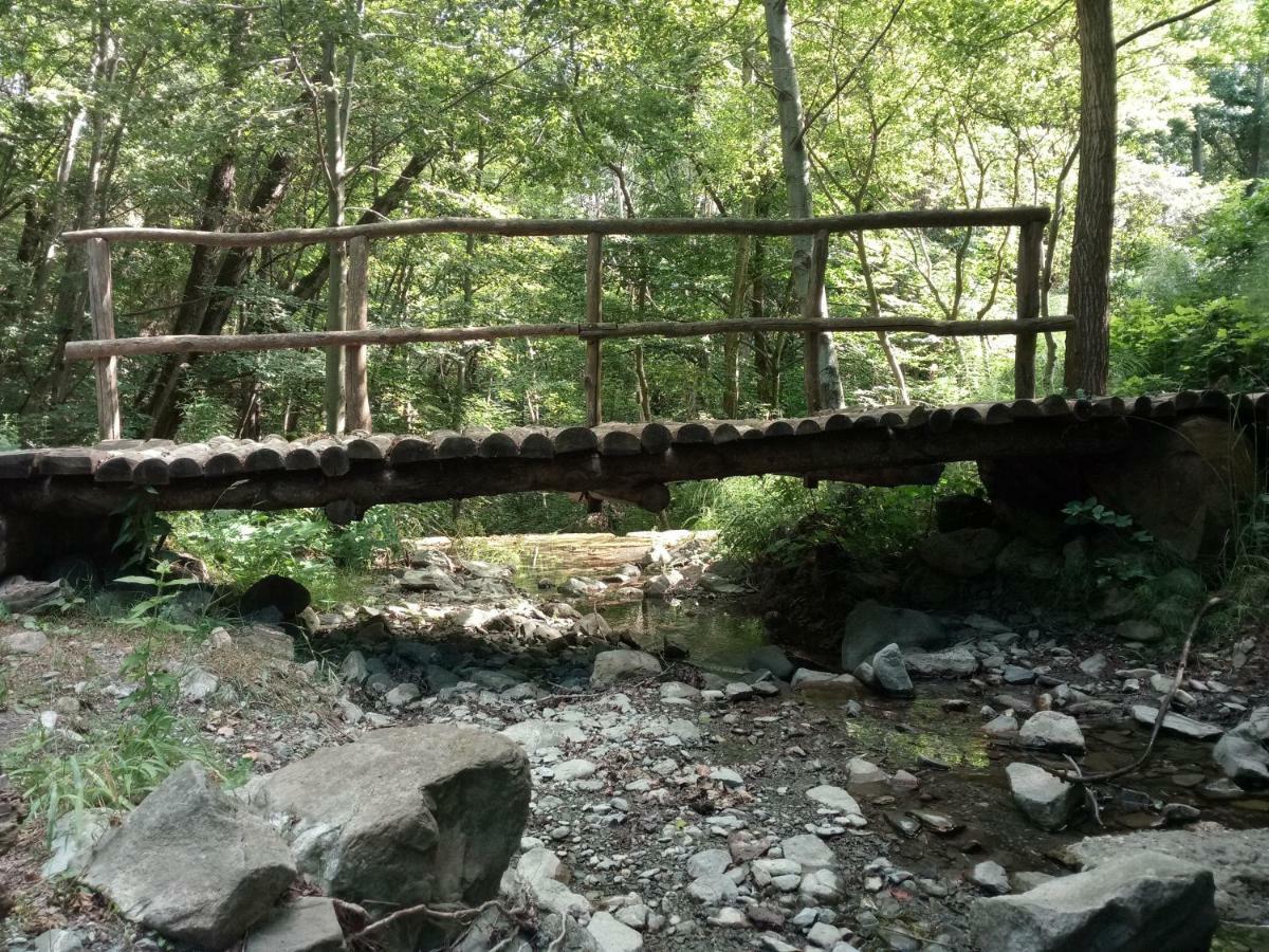 Agriturismo Rio Ricco Busana Dış mekan fotoğraf