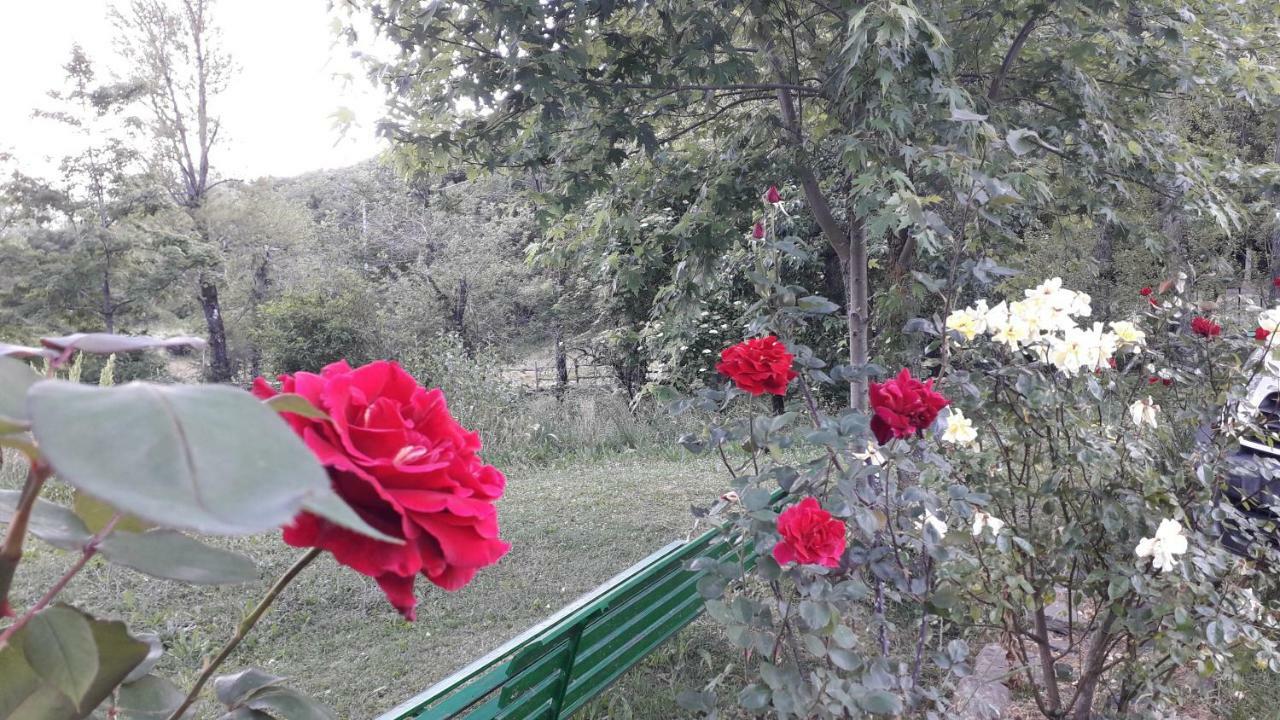 Agriturismo Rio Ricco Busana Dış mekan fotoğraf